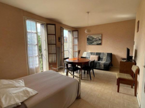 Spacieux studio au centre-ville avec ascenseur et animaux acceptés - FR-1-555-79